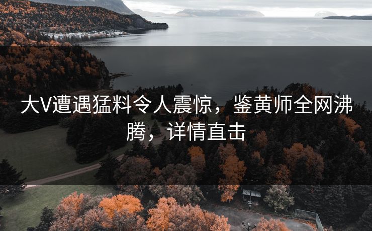 大V遭遇猛料令人震惊，鉴黄师全网沸腾，详情直击