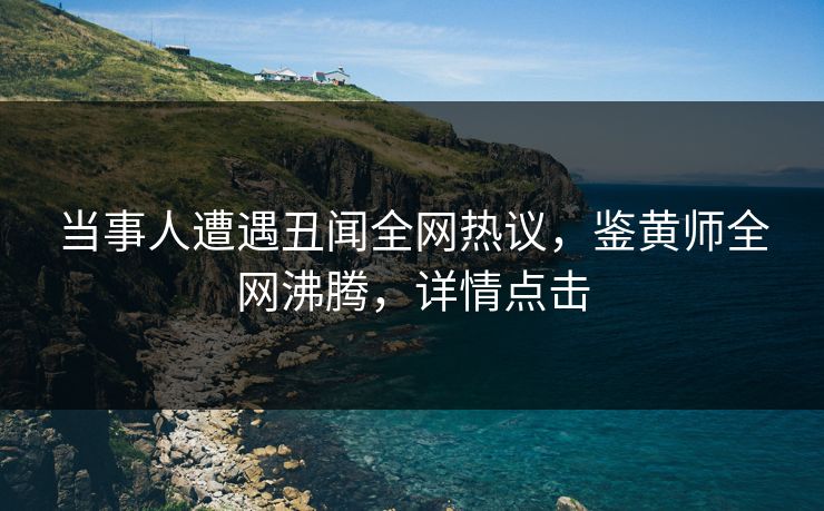 当事人遭遇丑闻全网热议，鉴黄师全网沸腾，详情点击