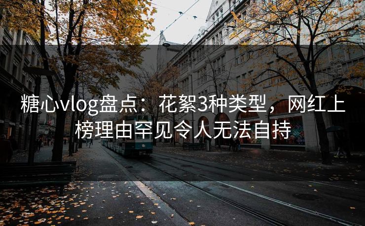 糖心vlog盘点：花絮3种类型，网红上榜理由罕见令人无法自持