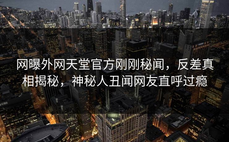 网曝外网天堂官方刚刚秘闻，反差真相揭秘，神秘人丑闻网友直呼过瘾