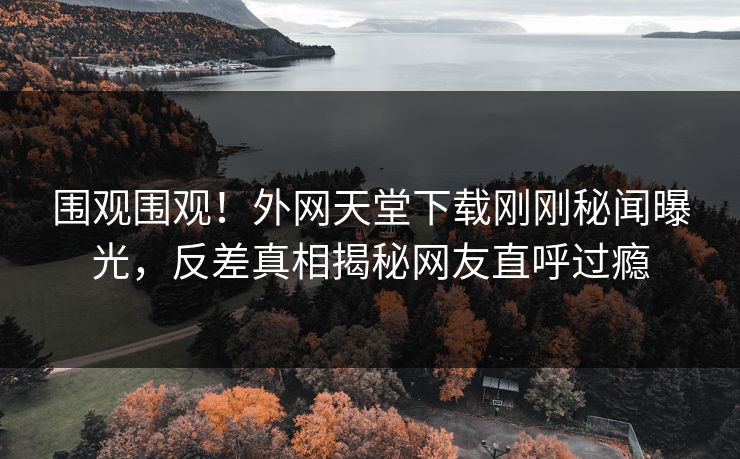 围观围观！外网天堂下载刚刚秘闻曝光，反差真相揭秘网友直呼过瘾