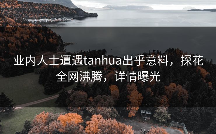 业内人士遭遇tanhua出乎意料，探花全网沸腾，详情曝光