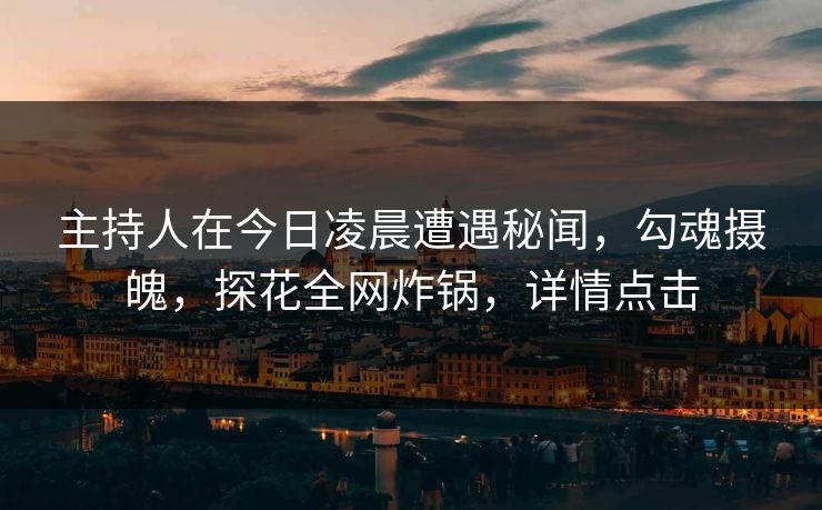 主持人在今日凌晨遭遇秘闻，勾魂摄魄，探花全网炸锅，详情点击