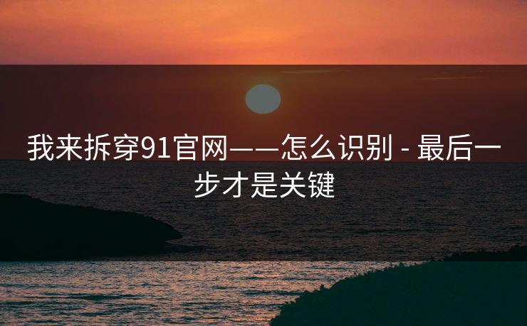 我来拆穿91官网——怎么识别 - 最后一步才是关键